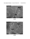 LOW-FRICTION, ABRASION RESISTANT AND EASY-TO-CLEAN COMPOSITE IRON SOLE     PLATE diagram and image