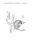 SYSTEMS AND DEVICES FOR COUPLING ULTRASOUND ENERGY TO A BODY diagram and image