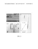 Nanochannel Arrays and Their Preparation and Use for High Throughput     Macromolecular Analysis diagram and image