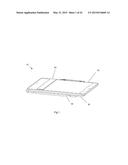 ELECTROPHORESIS TRAY AND A METHOD OF RUNNING AN ELECTROPHORESIS EXPERIMENT diagram and image