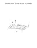 ELECTROPHORESIS TRAY AND A METHOD OF RUNNING AN ELECTROPHORESIS EXPERIMENT diagram and image