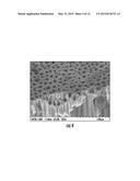 MULTIPLE WALLED NESTED COAXIAL NANOSTRUCTURES diagram and image