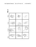 HAND POSE RECOGNITION USING BOOSTED LOOK UP TABLES diagram and image