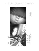 SAGNAC LOOP MIRROR BASED LASER CAVITY ON SILICON PHOTONICS PLATFORM diagram and image
