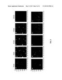 SURFACE-MODIFIED NANOPARTICLES FOR INTRACELLULAR DELIVERY OF THERAPEUTIC     AGENTS AND COMPOSITIONS FOR MAKING SAME diagram and image