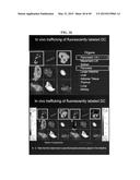 MICROSPHERE-BASED DELIVERY AND EX VIVO MANIPULATION OF DENDRITIC CELLS FOR     AUTOIMMUNE THERAPIES diagram and image