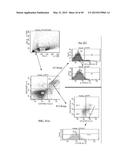 MICROSPHERE-BASED DELIVERY AND EX VIVO MANIPULATION OF DENDRITIC CELLS FOR     AUTOIMMUNE THERAPIES diagram and image