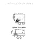 MICROSPHERE-BASED DELIVERY AND EX VIVO MANIPULATION OF DENDRITIC CELLS FOR     AUTOIMMUNE THERAPIES diagram and image