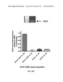 MICROSPHERE-BASED DELIVERY AND EX VIVO MANIPULATION OF DENDRITIC CELLS FOR     AUTOIMMUNE THERAPIES diagram and image