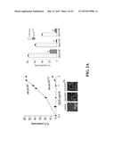 ENZYMATIC MODIFICATION OF ANTI-AQP4 AUTOANTIBODY FOR MODULATING     NEUROMYELITIS OPTICA diagram and image