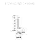 ENZYMATIC MODIFICATION OF ANTI-AQP4 AUTOANTIBODY FOR MODULATING     NEUROMYELITIS OPTICA diagram and image