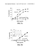 ENZYMATIC MODIFICATION OF ANTI-AQP4 AUTOANTIBODY FOR MODULATING     NEUROMYELITIS OPTICA diagram and image