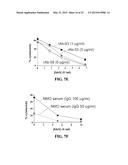 ENZYMATIC MODIFICATION OF ANTI-AQP4 AUTOANTIBODY FOR MODULATING     NEUROMYELITIS OPTICA diagram and image