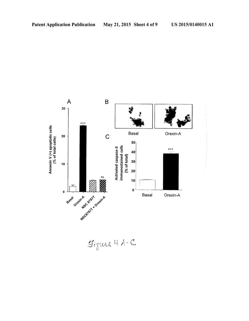 METHODS AND PHARMACEUTICAL COMPOSITIONS FOR THE TREATMENT OF PANCREATIC     CANCER - diagram, schematic, and image 05