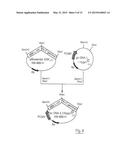 USE OF MONOCLONAL ANTIBODIES SPECIFIC TO THE O-ACETYLATED FORM OF GD2     GANGLIOSIDE FOR THE TREATMENT OF CERTAIN CANCERS diagram and image