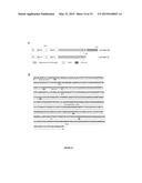 USE OF MONOCLONAL ANTIBODIES SPECIFIC TO THE O-ACETYLATED FORM OF GD2     GANGLIOSIDE FOR THE TREATMENT OF CERTAIN CANCERS diagram and image