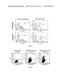 USE OF MONOCLONAL ANTIBODIES SPECIFIC TO THE O-ACETYLATED FORM OF GD2     GANGLIOSIDE FOR THE TREATMENT OF CERTAIN CANCERS diagram and image