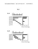 INTERACTION OF MORAXELLA CATARRHALIS WITH EPITHELIAL CELLS, EXTRACELLULAR     MATRIX PROTEINS AND THE COMPLEMENT SYSTEM diagram and image