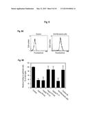 INTERACTION OF MORAXELLA CATARRHALIS WITH EPITHELIAL CELLS, EXTRACELLULAR     MATRIX PROTEINS AND THE COMPLEMENT SYSTEM diagram and image