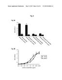 INTERACTION OF MORAXELLA CATARRHALIS WITH EPITHELIAL CELLS, EXTRACELLULAR     MATRIX PROTEINS AND THE COMPLEMENT SYSTEM diagram and image