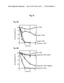 INTERACTION OF MORAXELLA CATARRHALIS WITH EPITHELIAL CELLS, EXTRACELLULAR     MATRIX PROTEINS AND THE COMPLEMENT SYSTEM diagram and image