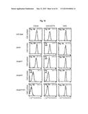 INTERACTION OF MORAXELLA CATARRHALIS WITH EPITHELIAL CELLS, EXTRACELLULAR     MATRIX PROTEINS AND THE COMPLEMENT SYSTEM diagram and image