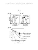 INTERACTION OF MORAXELLA CATARRHALIS WITH EPITHELIAL CELLS, EXTRACELLULAR     MATRIX PROTEINS AND THE COMPLEMENT SYSTEM diagram and image