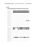 INTERACTION OF MORAXELLA CATARRHALIS WITH EPITHELIAL CELLS, EXTRACELLULAR     MATRIX PROTEINS AND THE COMPLEMENT SYSTEM diagram and image