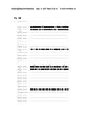 INTERACTION OF MORAXELLA CATARRHALIS WITH EPITHELIAL CELLS, EXTRACELLULAR     MATRIX PROTEINS AND THE COMPLEMENT SYSTEM diagram and image