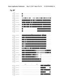 INTERACTION OF MORAXELLA CATARRHALIS WITH EPITHELIAL CELLS, EXTRACELLULAR     MATRIX PROTEINS AND THE COMPLEMENT SYSTEM diagram and image