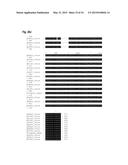 INTERACTION OF MORAXELLA CATARRHALIS WITH EPITHELIAL CELLS, EXTRACELLULAR     MATRIX PROTEINS AND THE COMPLEMENT SYSTEM diagram and image