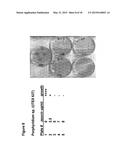 Microalgae-Derived Compositions for Improving the Health and Appearance of     Skin diagram and image