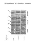 Microalgae-Derived Compositions for Improving the Health and Appearance of     Skin diagram and image