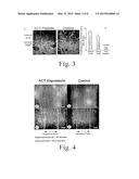 COMPOSITIONS AND METHODS FOR PROMOTING WOUND HEALING AND TISSUE     REGENERATION diagram and image