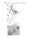 NANOCLUSTERS COMPOSITIONS AND METHODS diagram and image