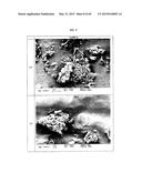 NANOCLUSTERS COMPOSITIONS AND METHODS diagram and image