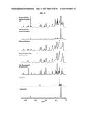 NANOCLUSTERS COMPOSITIONS AND METHODS diagram and image