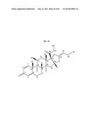 NANOCLUSTERS COMPOSITIONS AND METHODS diagram and image