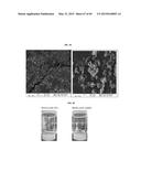 NANOCLUSTERS COMPOSITIONS AND METHODS diagram and image