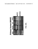 METHOD FOR DETECTING INJURY TO THE BRAIN diagram and image