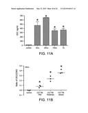 METHOD FOR DETECTING INJURY TO THE BRAIN diagram and image