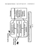 NUTRIPROTECTIVE DIET diagram and image