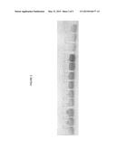 SHELF-STABLE, PRESERVATIVE-FREE LIQUID BEVERAGE ENHANCER PRODUCTS diagram and image