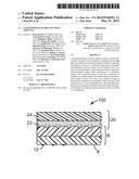 LASER-PERSONALIZABLE SECURITY ARTICLES diagram and image