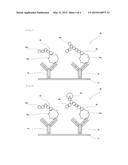 ANTIGEN DETECTION METHOD WHICH USES LECTIN AND COMPRISES ENZYME TREATMENT     STEP diagram and image