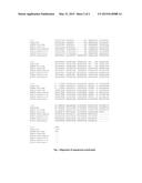 Lipase Variants and Polynucleotides Encoding Same diagram and image