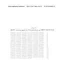 METHODS AND MICROBIAL CULTURES FOR IMPROVED CONVERSION OF LIGNOCELLULOSIC     BIOMASS diagram and image