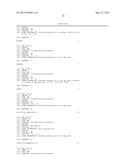 VARIANTS OF THE PROMOTER OF THE GAP GENE CODING FOR     GLYCERALDEHYDE-3-PHOSPHATE DEHYDROGENASE diagram and image