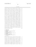 VARIANTS OF THE PROMOTER OF THE GAP GENE CODING FOR     GLYCERALDEHYDE-3-PHOSPHATE DEHYDROGENASE diagram and image