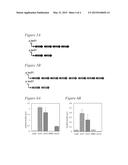 BIOSYNTHETIC PATHWAYS, RECOMBINANT CELLS, AND METHODS diagram and image